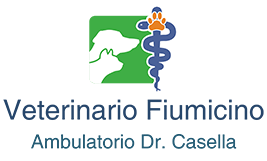 Veterinario Fiumicino