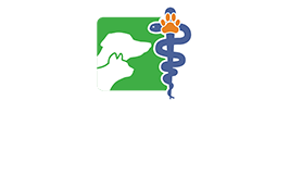 Veterinario Fiumicino